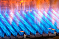 Dolanog gas fired boilers